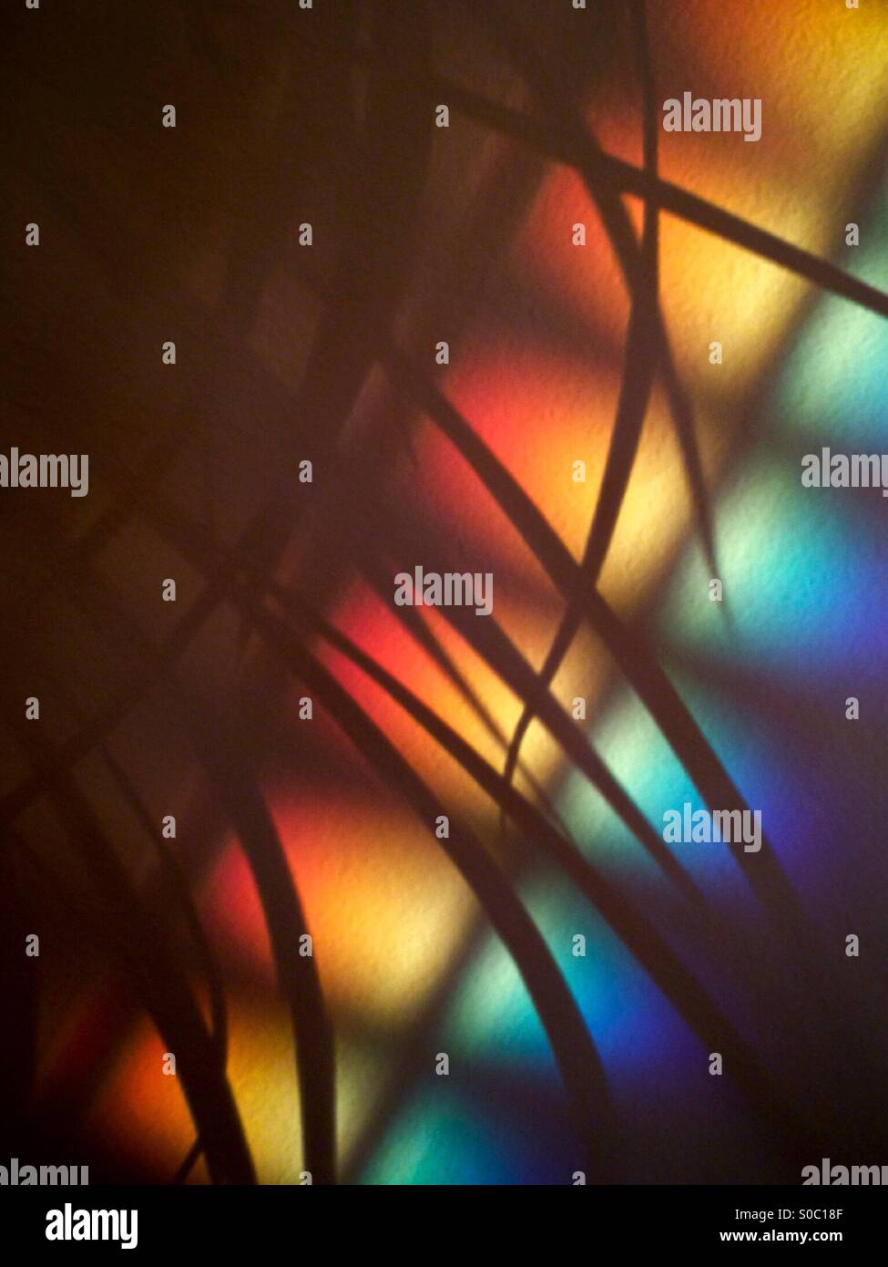 Regenbogen-Effekt an Wand, vom späten Nachmittag Licht, mit Zimmerpflanze Silhouette. - Smartphone-aufgenommenes Stockfoto
