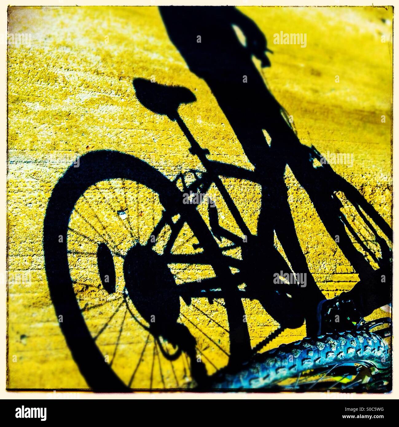 Anonyme Person, mit dem Fahrrad. Fahrrad-Schatten auf einer Straße Stockfoto