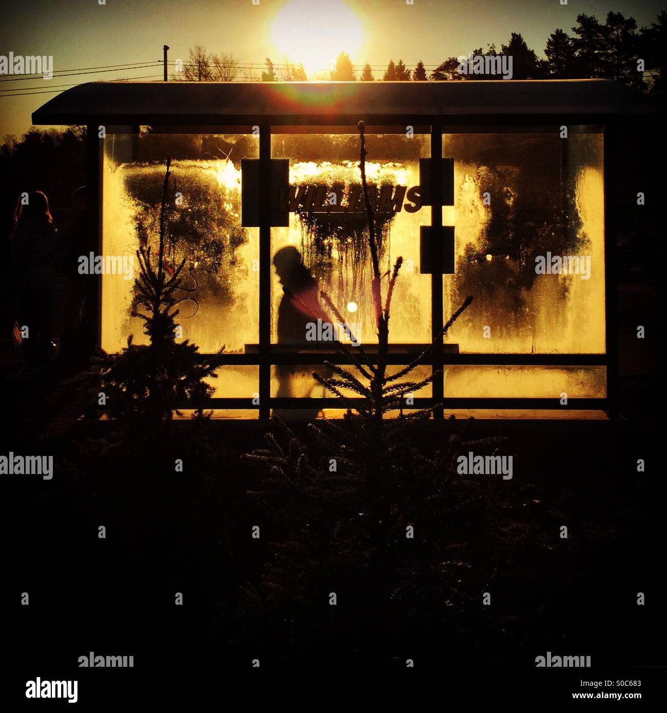 Warten auf eine gedämpfte bis Bushaltestelle bei Sonnenaufgang an einem kalten Wintermorgen. Arbeitsweg früh. - Smartphone-aufgenommenes Stockfoto