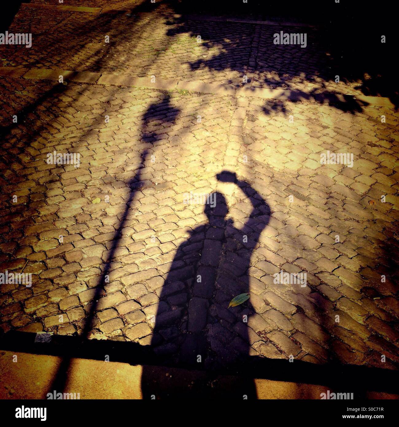 Selfie Schatten von Lampe und Baum auf gepflasterten Weg Stockfoto