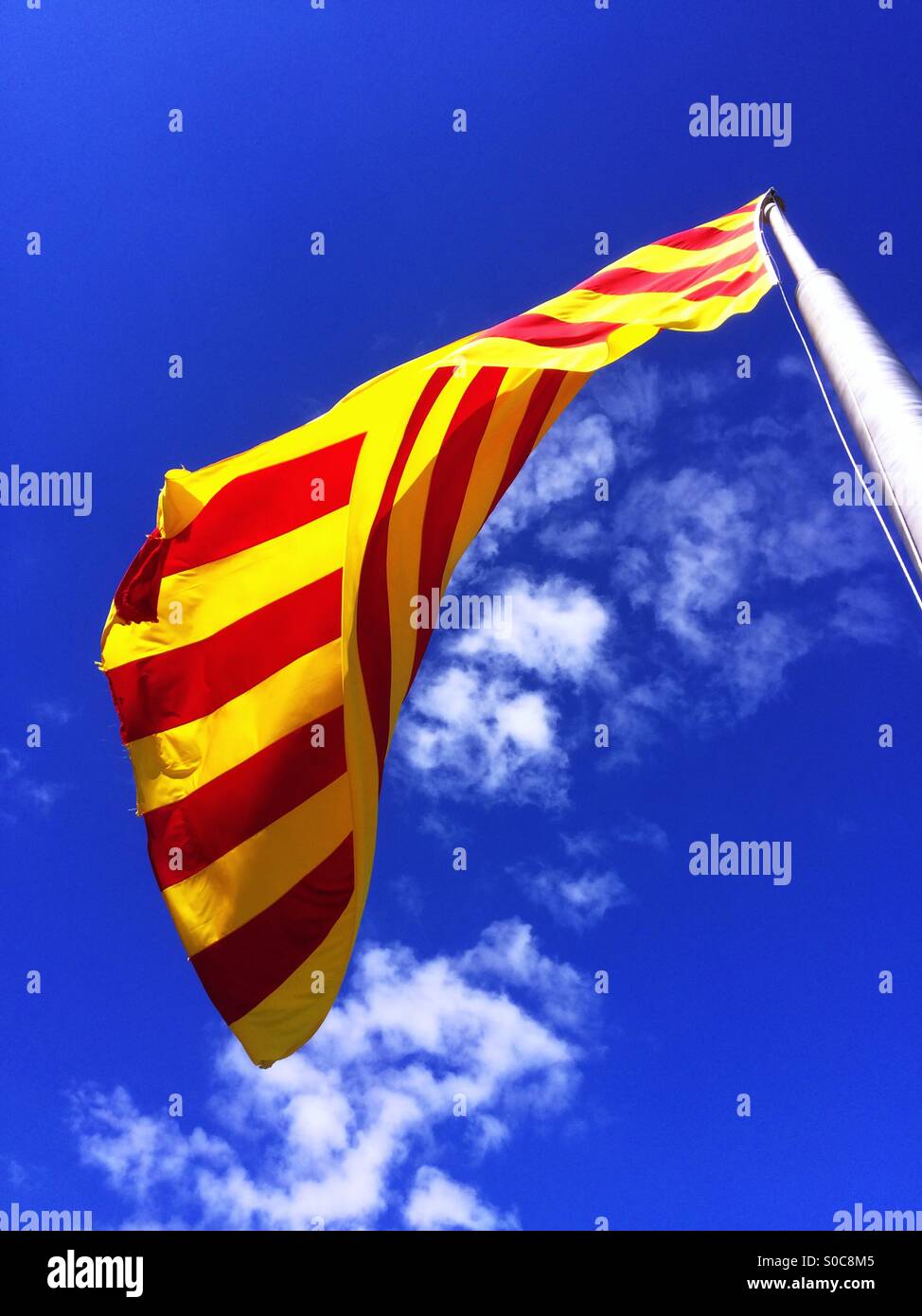 Flagge von Katalonien in Montjuïc Barcelona mit blauen Himmel und Wolken, Bandera de Cataluña fliegen Stockfoto