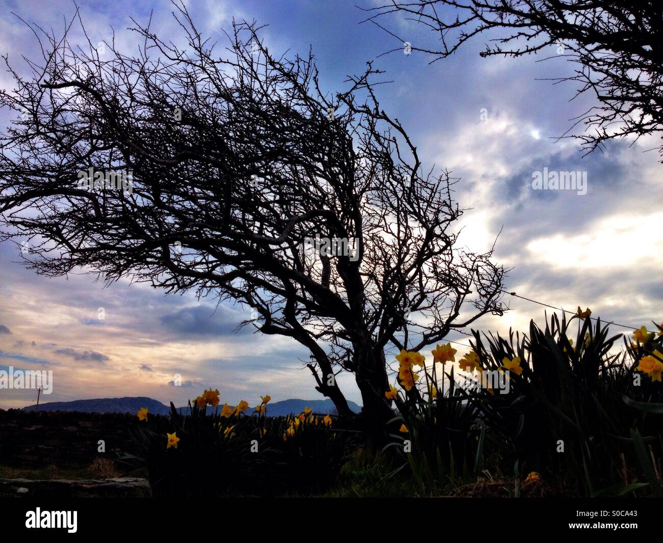 Donegal-Landschaft - Smartphone-aufgenommenes Stockfoto