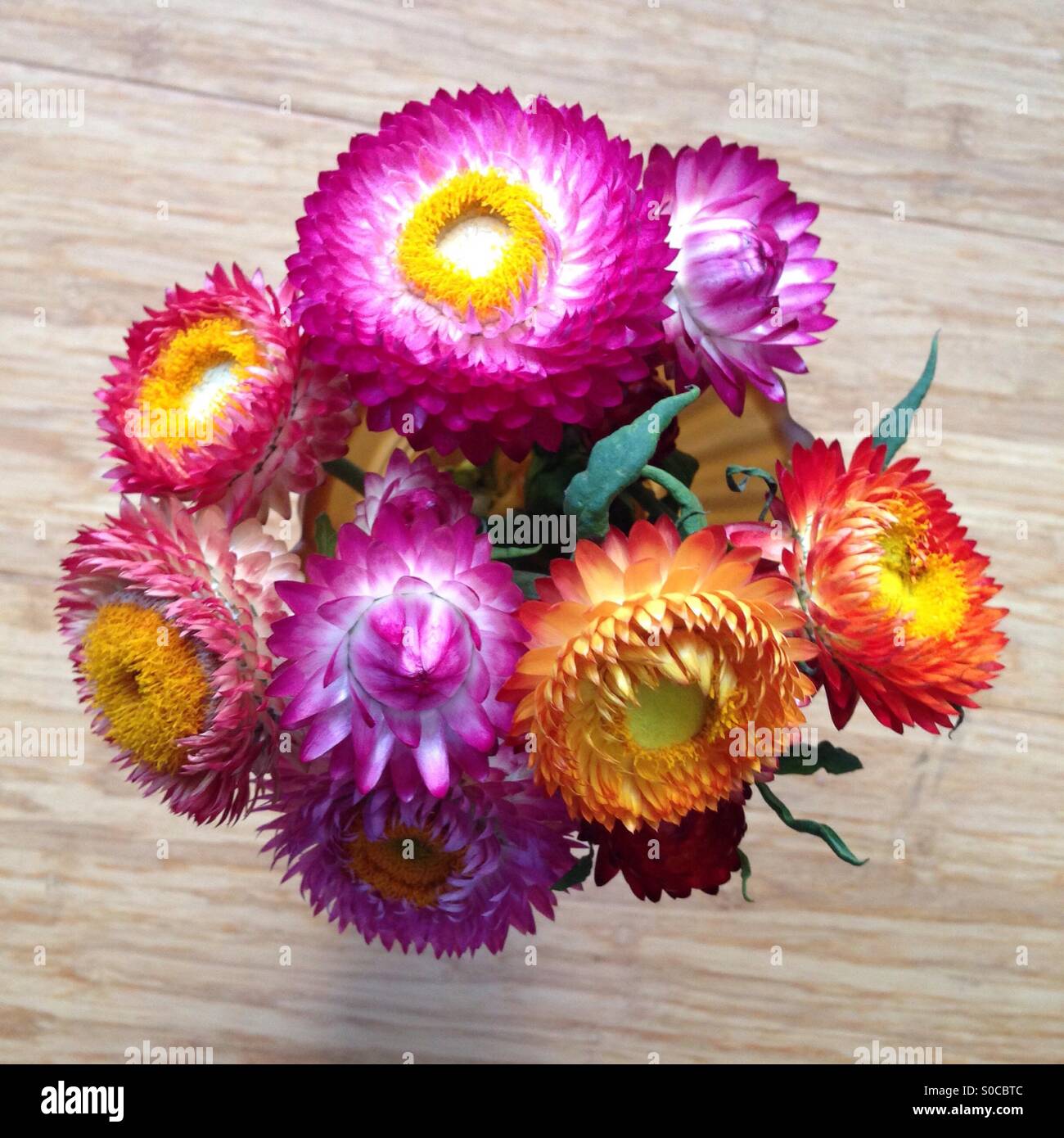 Posy der bunten Papierblumen daisy Stockfoto