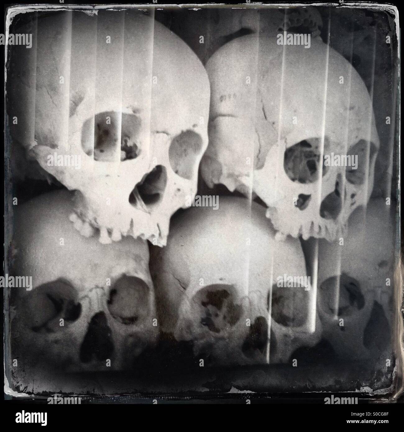 Menschliche Schädel, Bestandteil der Choeung Ek Memorial Stupa, die Killing Fields, Phnom Penh, Kambodscha - Smartphone-aufgenommenes Stockfoto