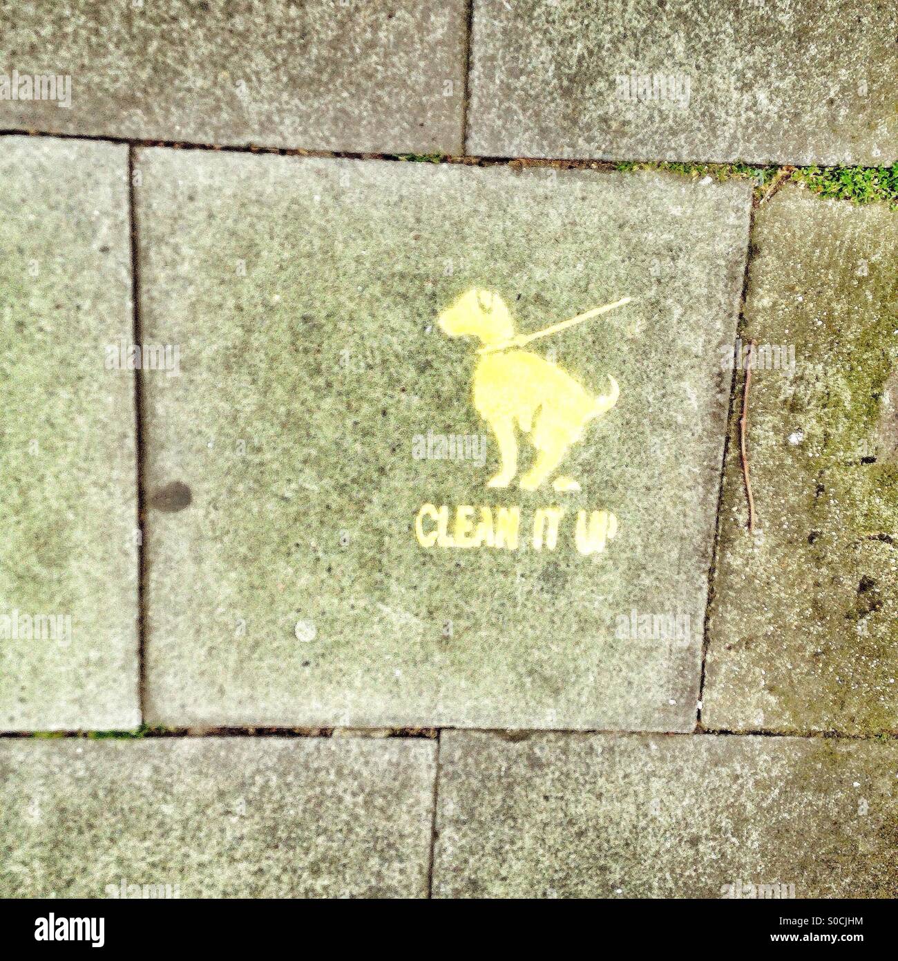 Aufräumen Sie - Hund-Mess-Schablone auf Bürgersteig Stockfoto