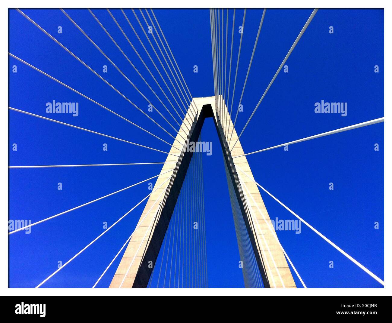 Ravenel Bridge, Charleston, DC Stockfoto
