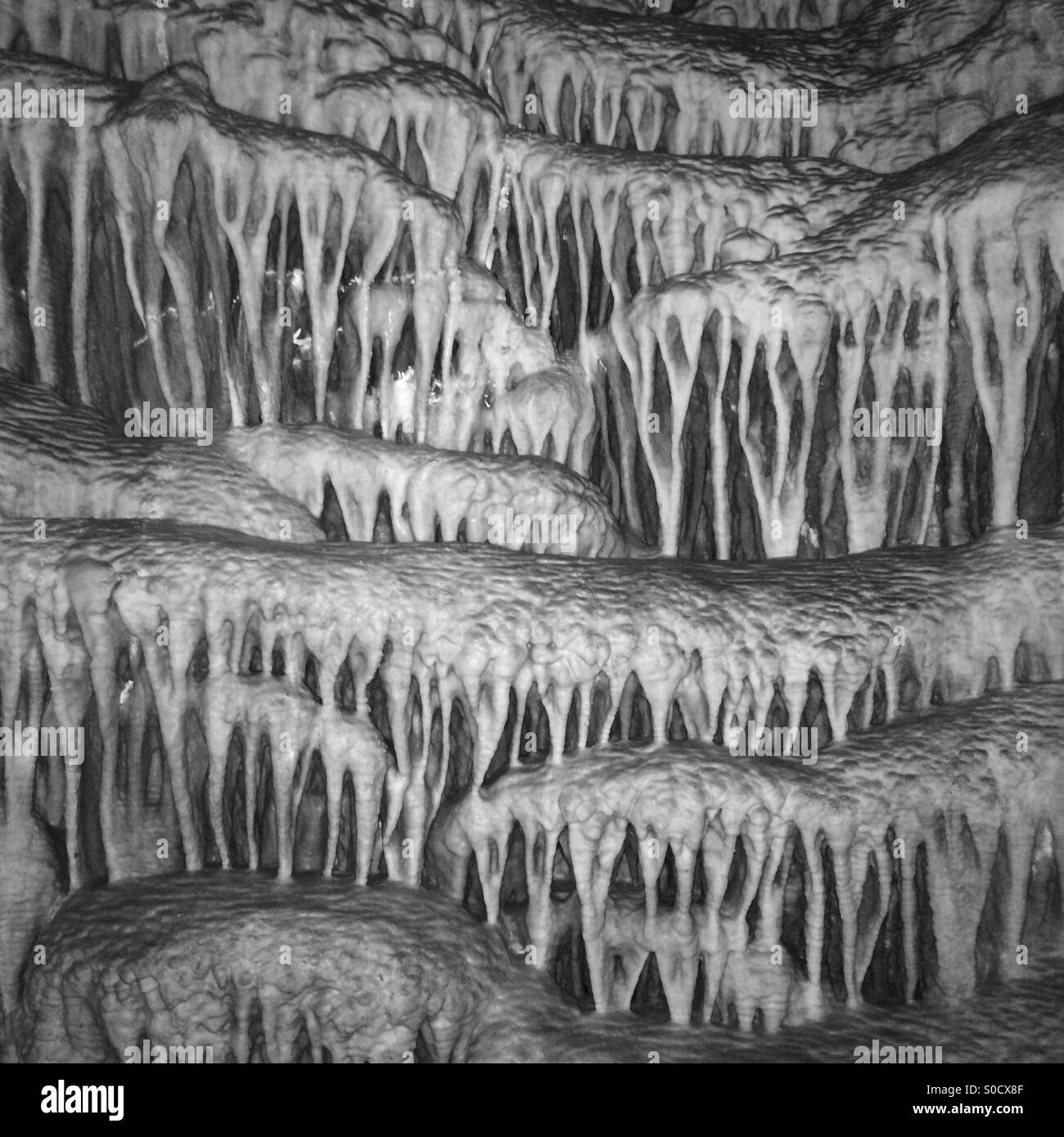 Kalkstein "Vorhang", Lehman Caves, Great Basin National Park, Nevada, schwarz und weiß Stockfoto
