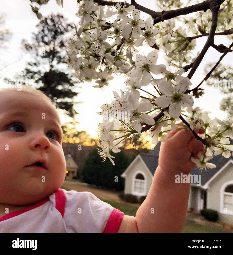 Ein Baby, genießen die schönen Blumen Stockfoto