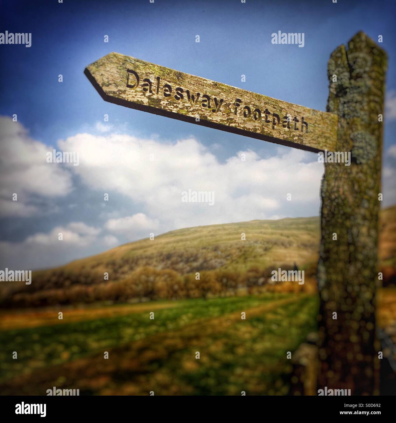 Zeichen markieren den Weg der Dalesway Wanderweg in den Yorkshire Dales, UK Stockfoto