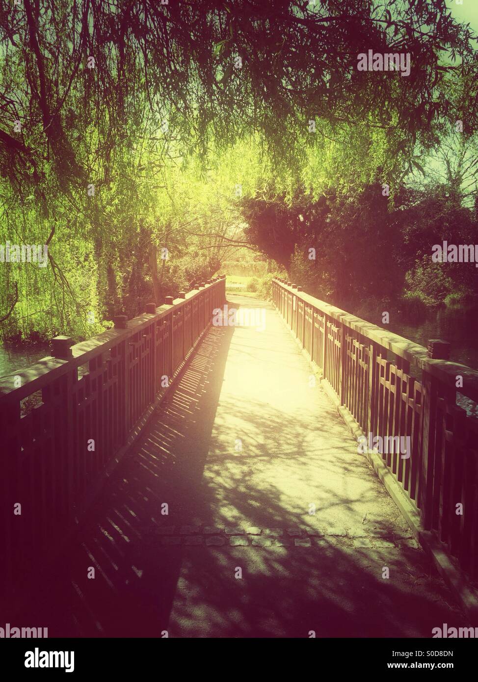 Holzbrücke in einem park Stockfoto