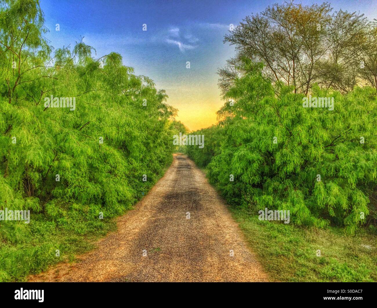 Leere Landschaft Straße in Kharian Dorf Pakistan Stockfoto
