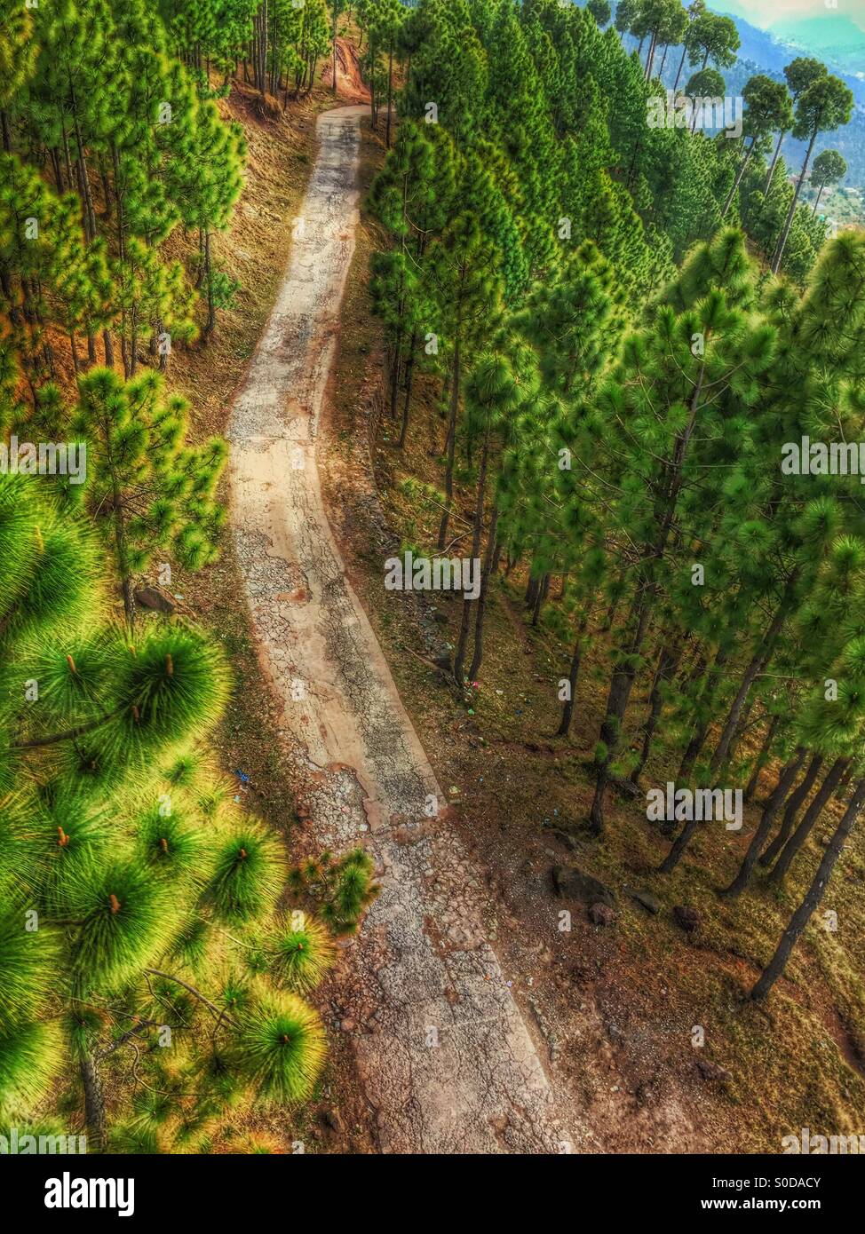 Alte Straße in den Bergen Murree Pakistan Stockfoto