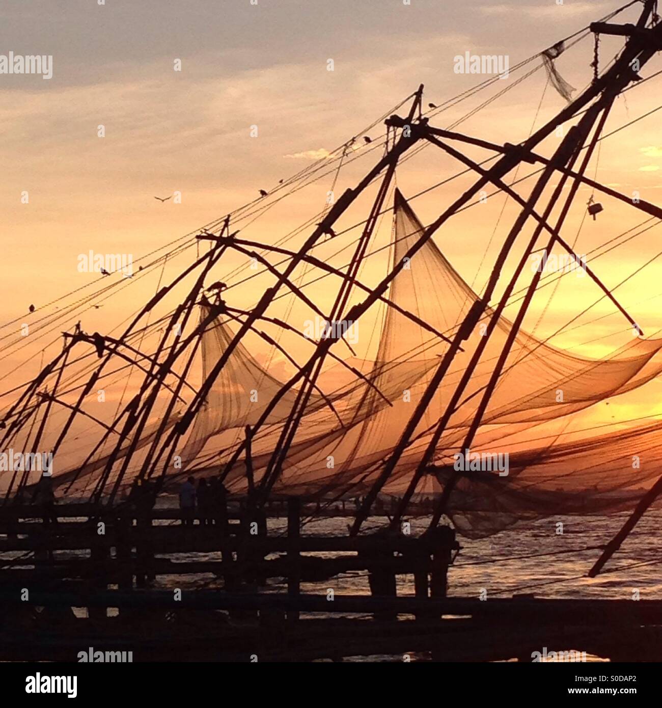Chinesische Fischernetze Stockfoto