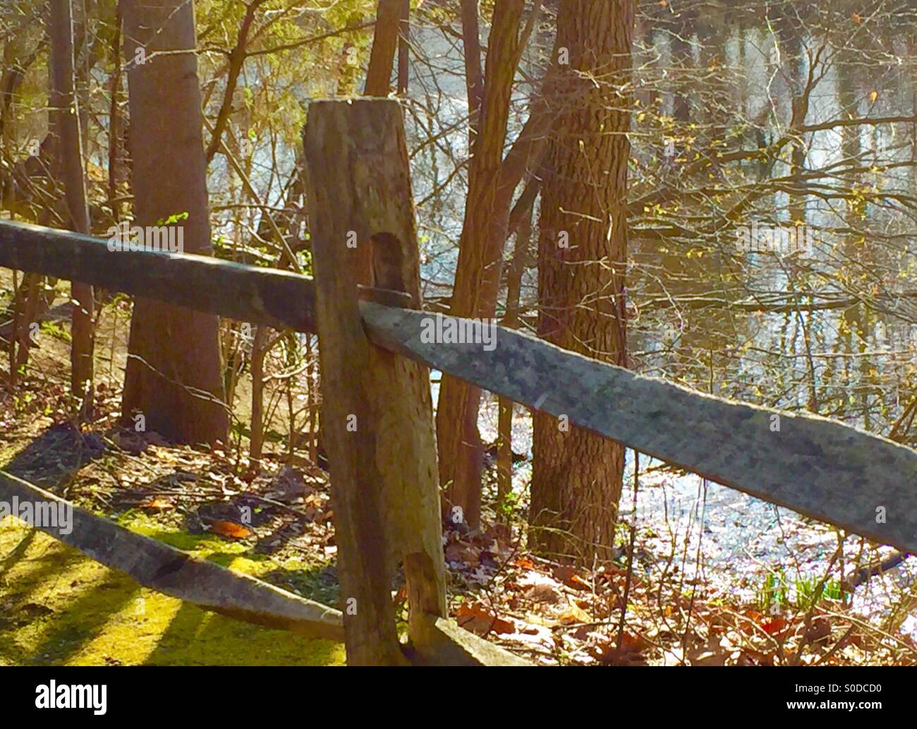 Teich-Trail-Zaun im Frühjahr. Ein Holzzaun Schiene Linien einen Waldlehrpfad mit Blick auf einem bewaldeten Hügel, das Abgleiten in einen ruhigen Teich. Stockfoto