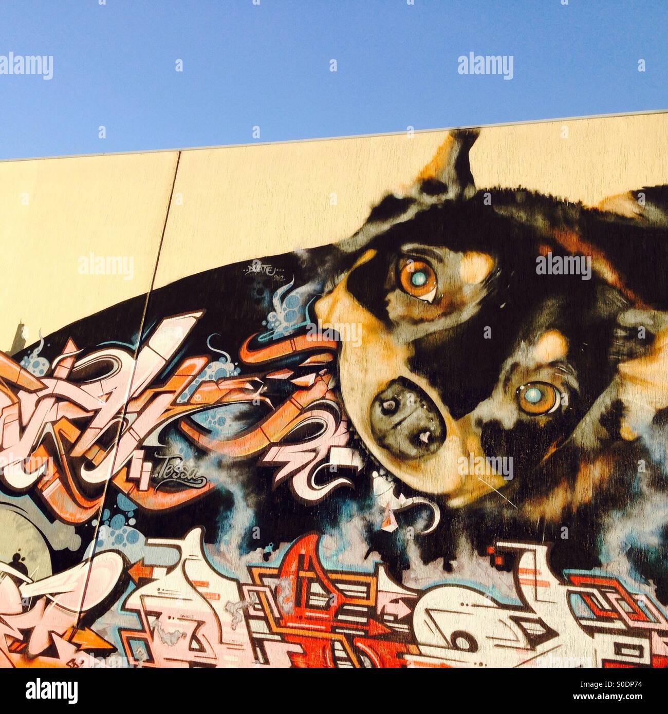 Street-Art von Hund Essen grafitti Stockfoto