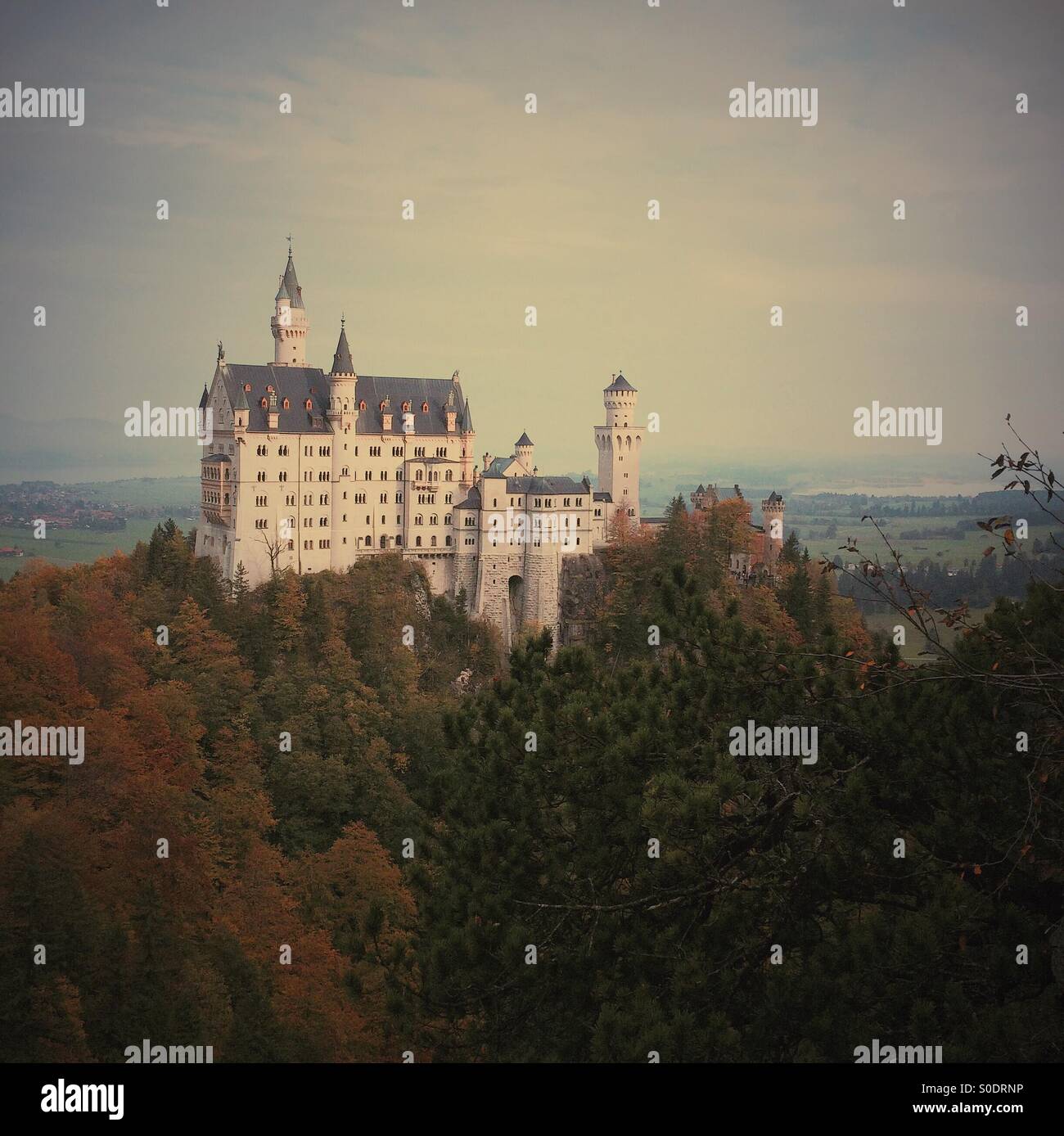 Blick auf Schloss Neuschwanstein, Bayern, Deutschland, Europa - Smartphone-aufgenommenes Stockfoto