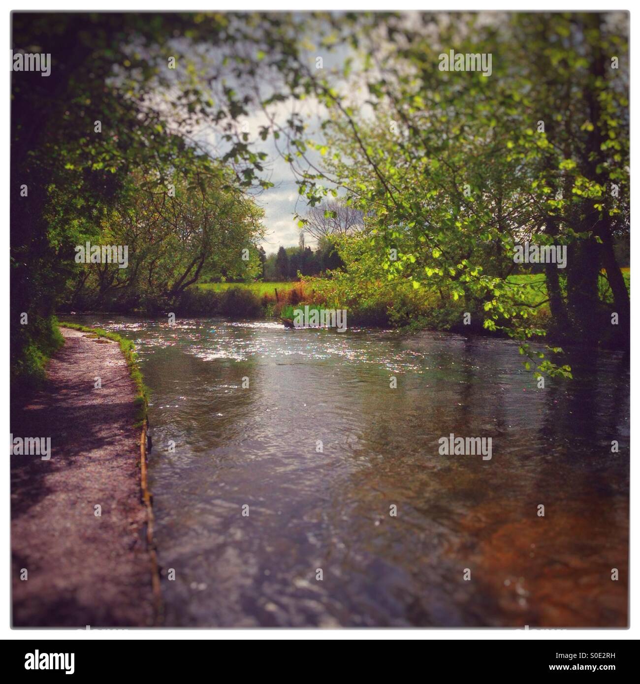 Fluss Arle im Frühjahr, Arlesford, Hampshire, England, Vereinigtes Königreich. - Smartphone-aufgenommenes Stockfoto