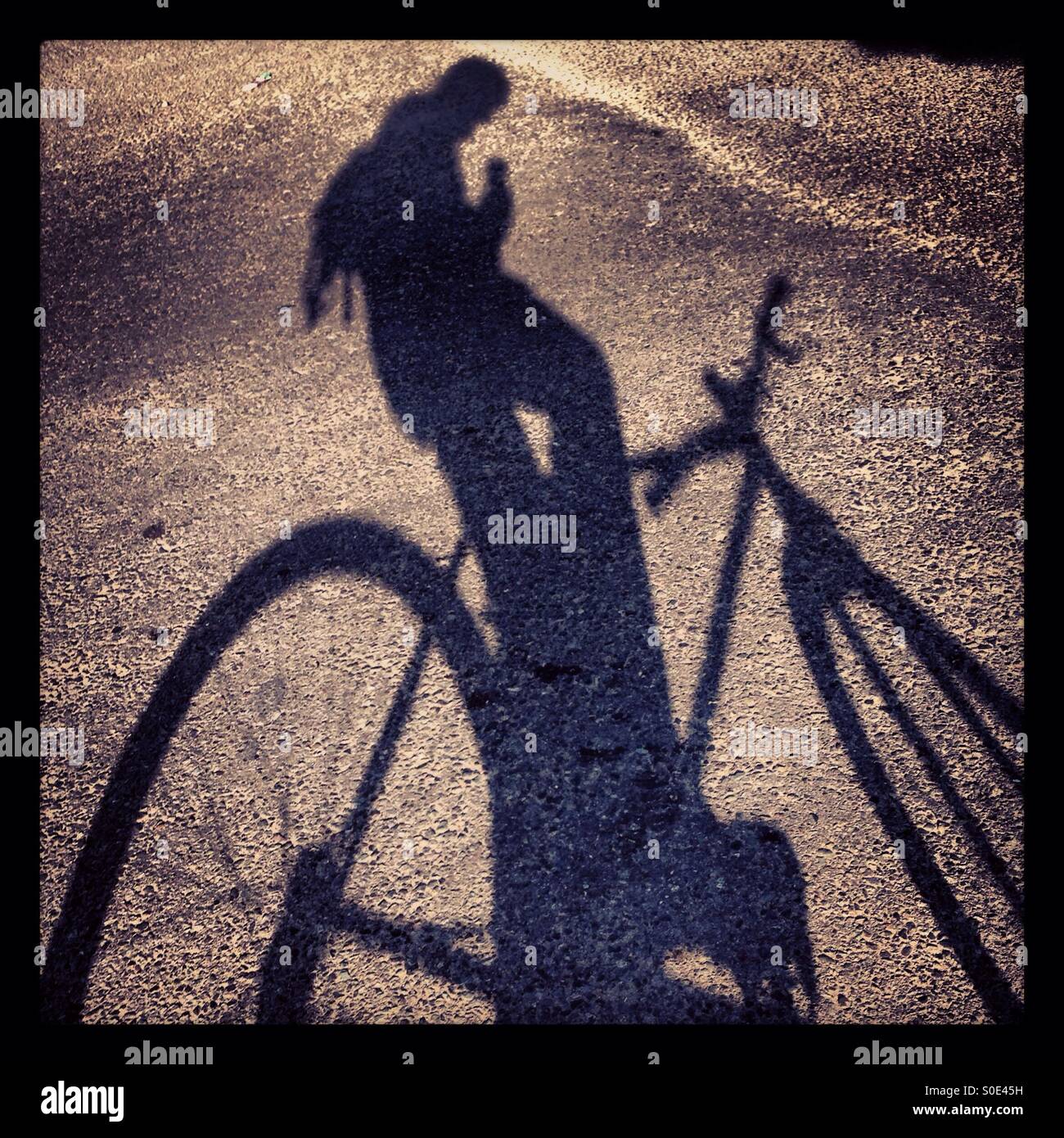 Sombra de ciclista Stockfoto