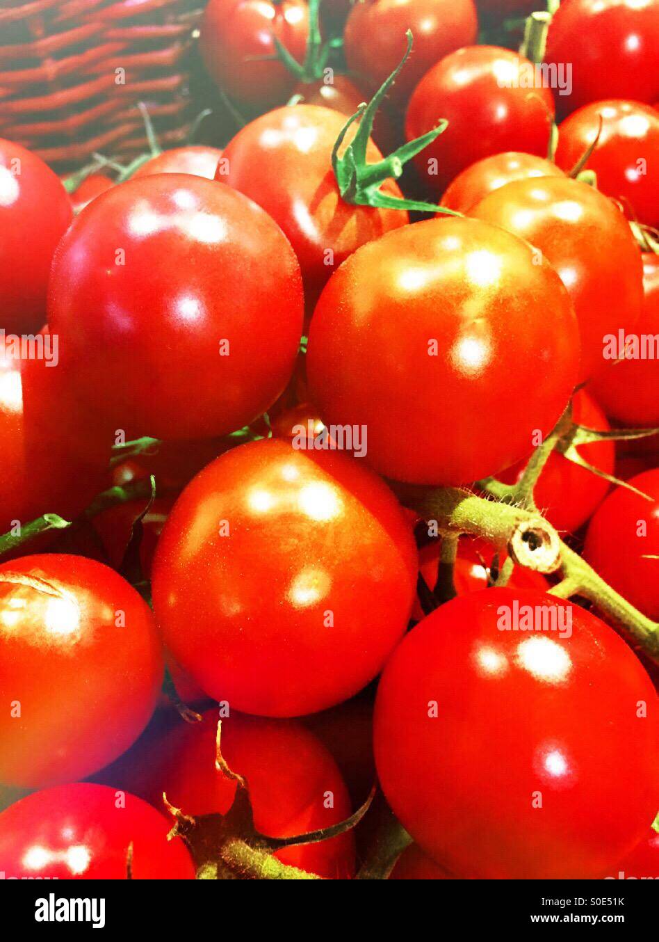 Leuchtend rote Tomaten Stockfoto