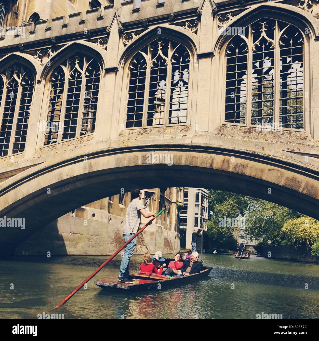 Bootfahren auf dem Fluss Cam, Cambridge. Vereinigtes Königreich Stockfoto