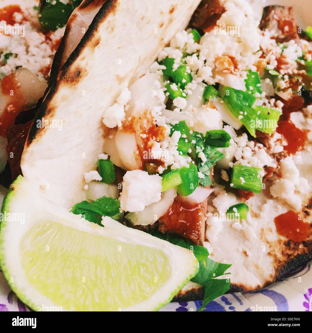 Straße Taco mit frischen Zutaten Stockfoto