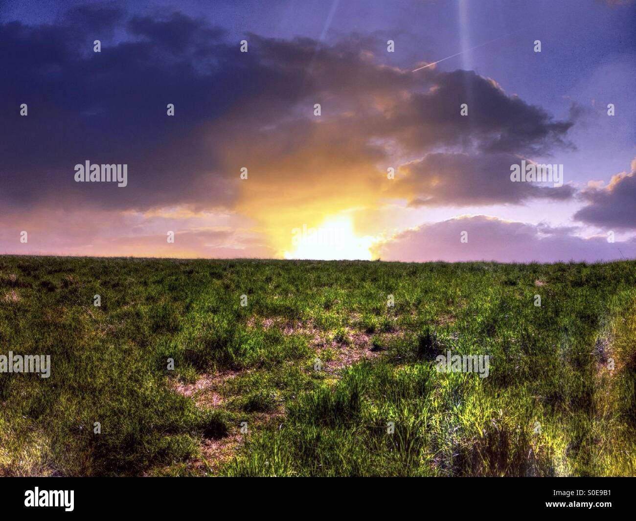 Feld und blauer Himmel - Smartphone-aufgenommenes Stockfoto