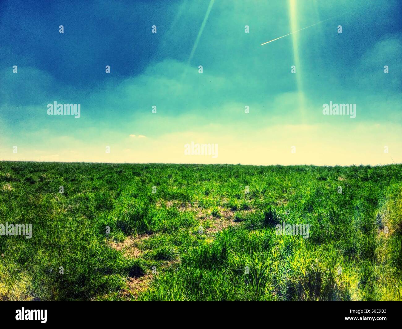 Feld und blauer Himmel - Smartphone-aufgenommenes Stockfoto