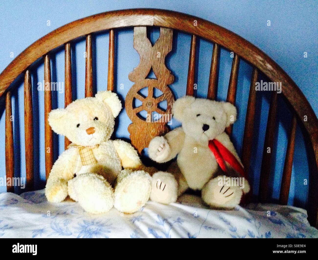 Teddybären auf Bett Stockfoto