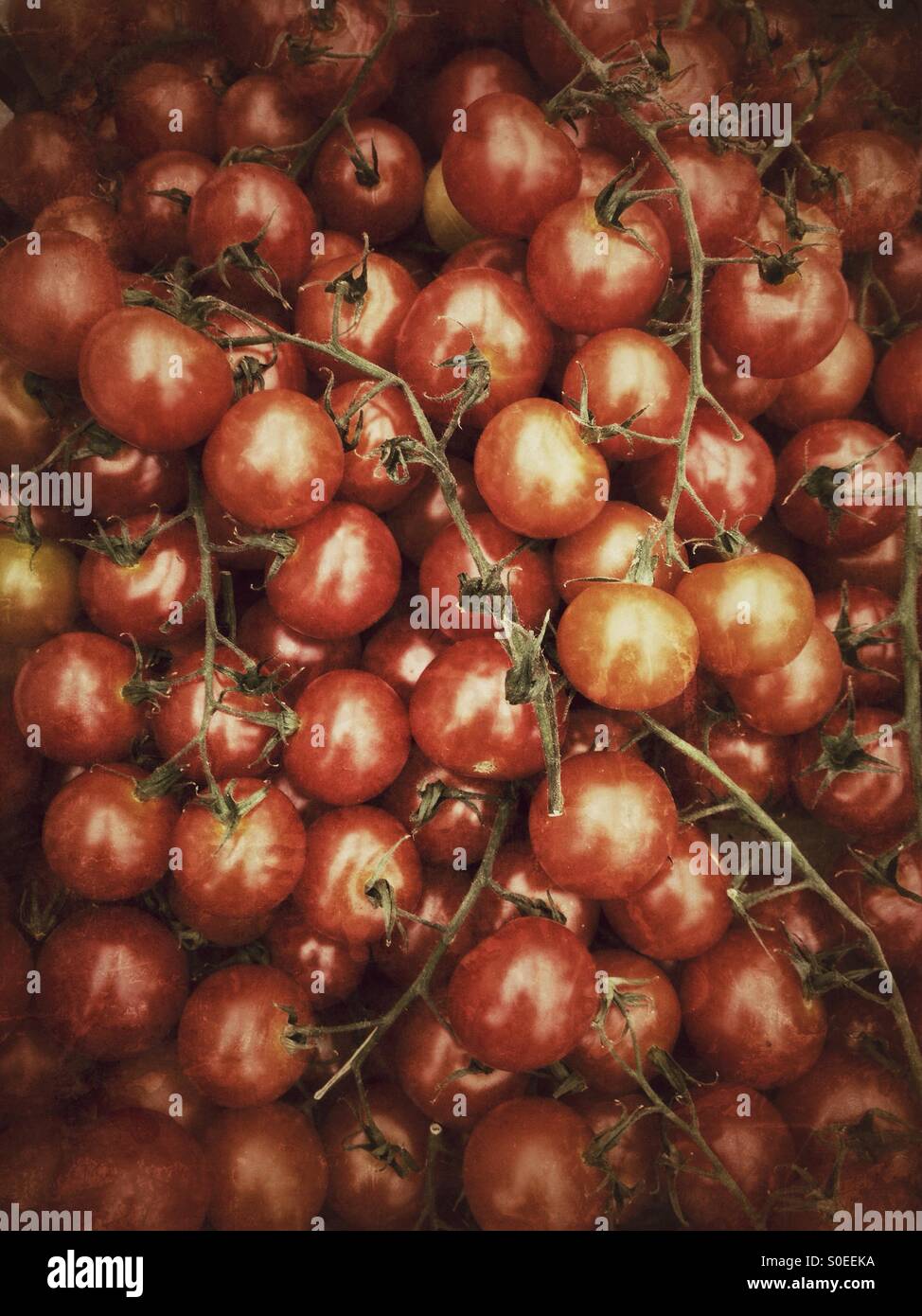 Cherry-Tomaten - Smartphone-aufgenommenes Stockfoto