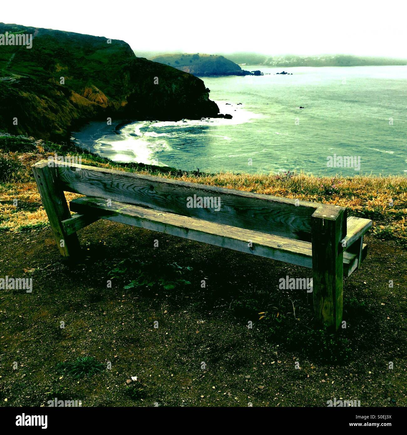 Morgen Whale Watch Bank - Smartphone-aufgenommenes Stockfoto