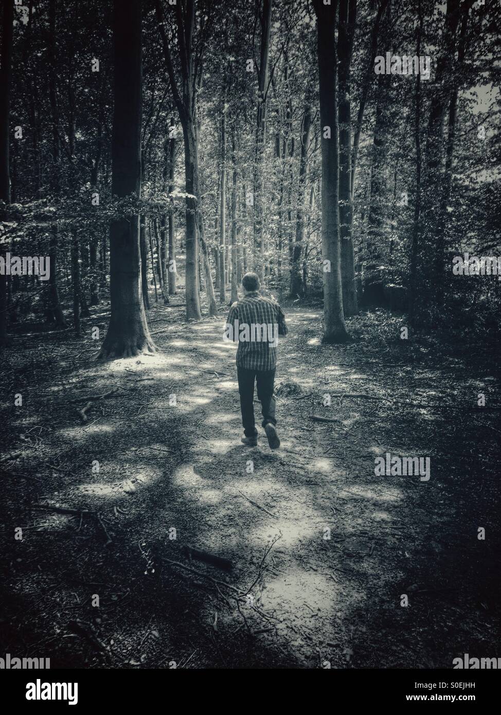 Mann zu Fuß in den Wald Stockfoto