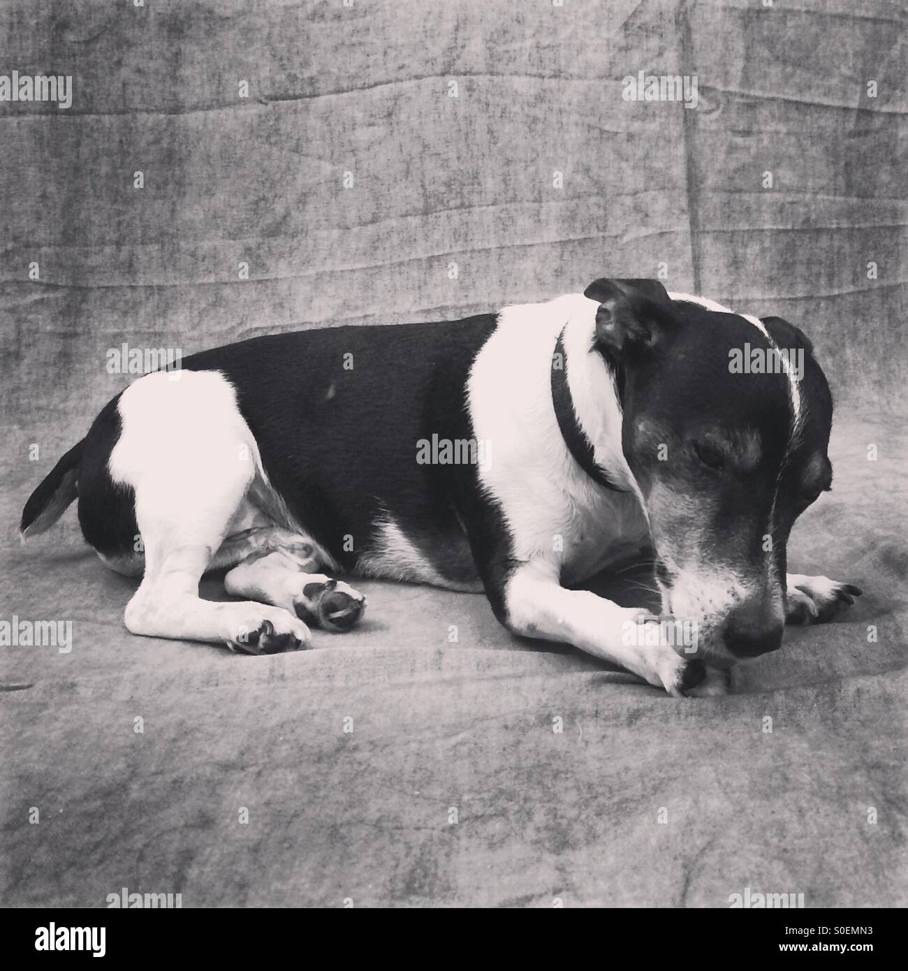 Jack chester Fotos und Bildmaterial in hoher Auflösung Alamy