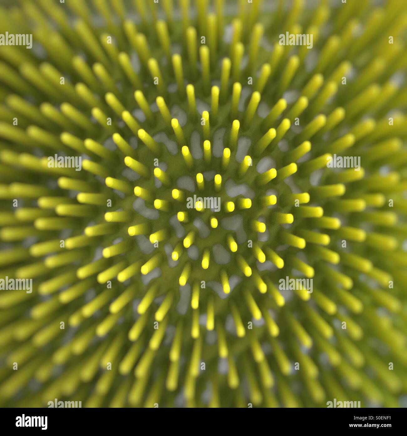 Ein abstraktes Bild von Lindgrün spikes, ausgehend von einem zentralen Punkt, an den Rändern unscharf. Stockfoto