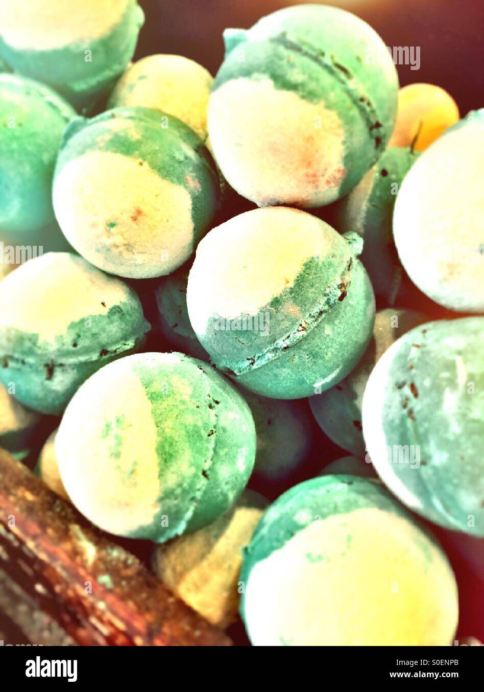 Schaumbad Bomben bei Lush Cosmetics. NEW YORK CITY Stockfoto