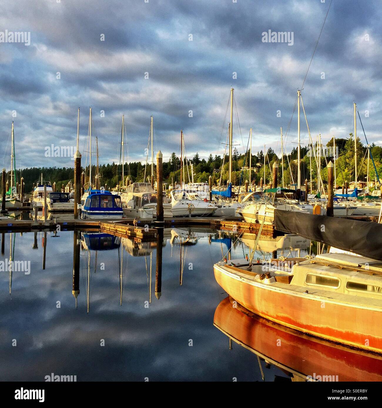 Späten Nachmittag goldenes Licht fügt Schönheit zum Yachthafen, Pacific Northwest. Stockfoto