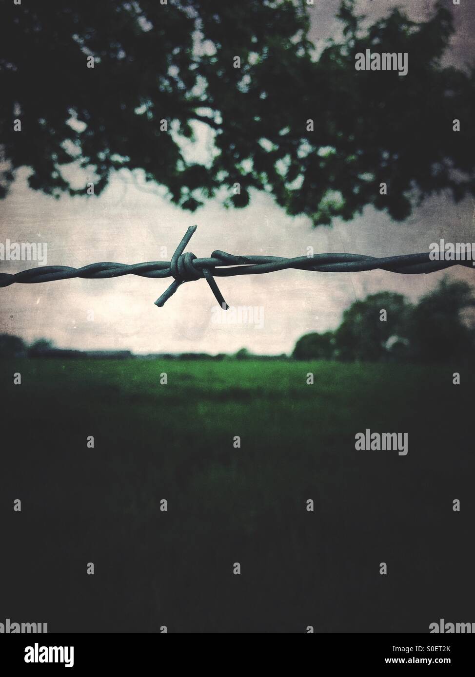 Barbwire - Smartphone-aufgenommenes Stockfoto