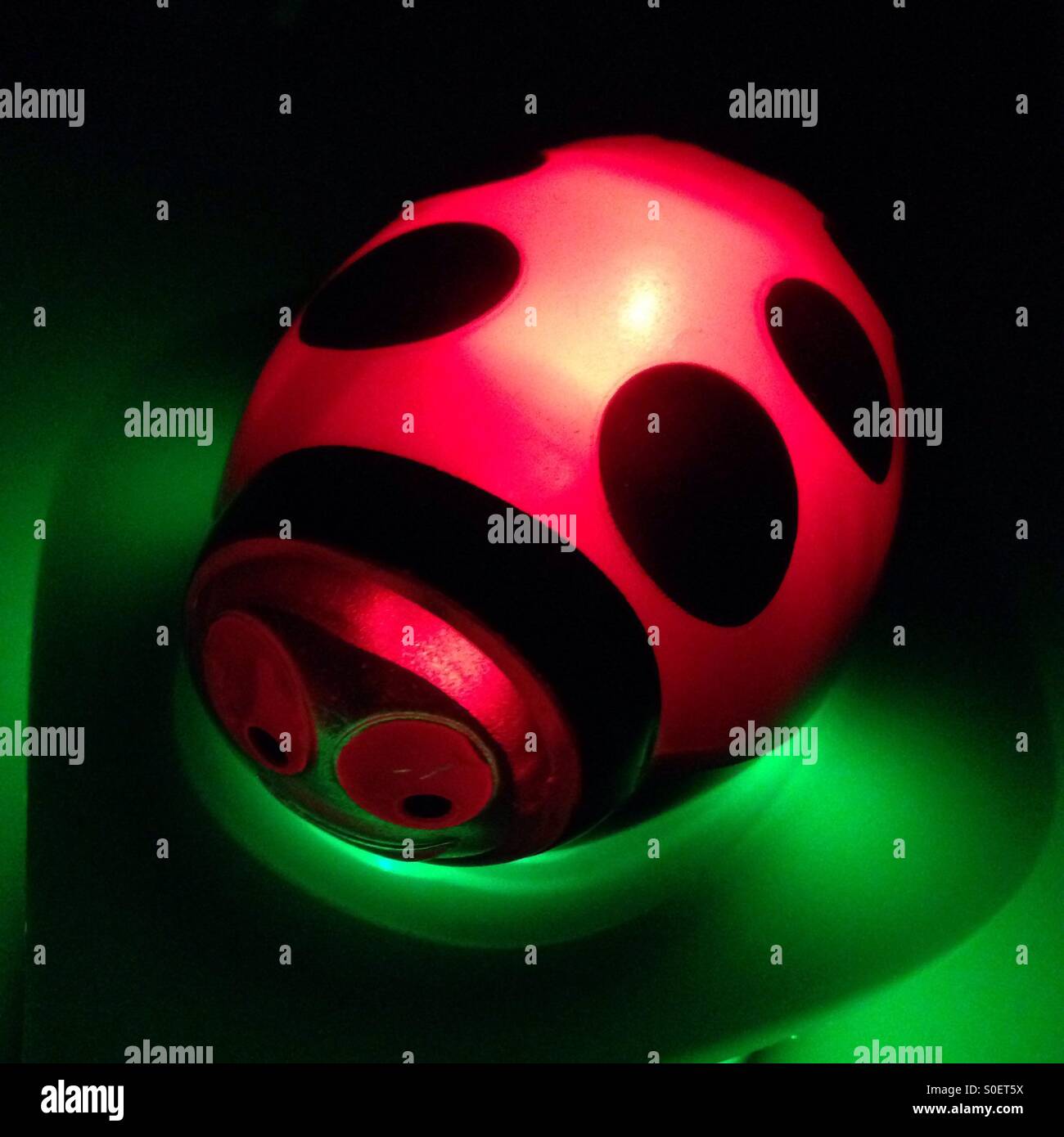 Marienkäfer-Lampe Stockfoto