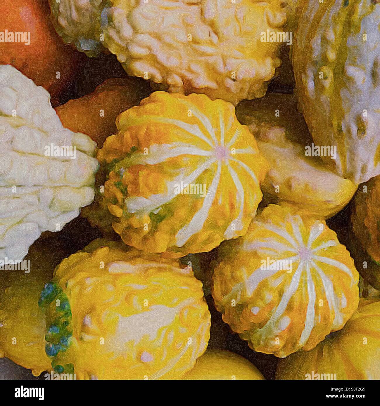 Squash in Haufen, Pike Place Market, Seattle, Washington, Farbe Pinselstrich Filter hinzugefügt - Smartphone-aufgenommenes Stockfoto