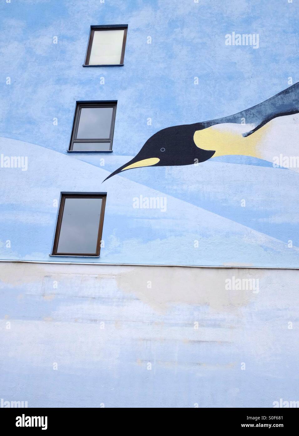 Ein Pinguin in einem Fenster - ein Pinguin-Wandbild in München suchen - Smartphone-aufgenommenes Stockfoto