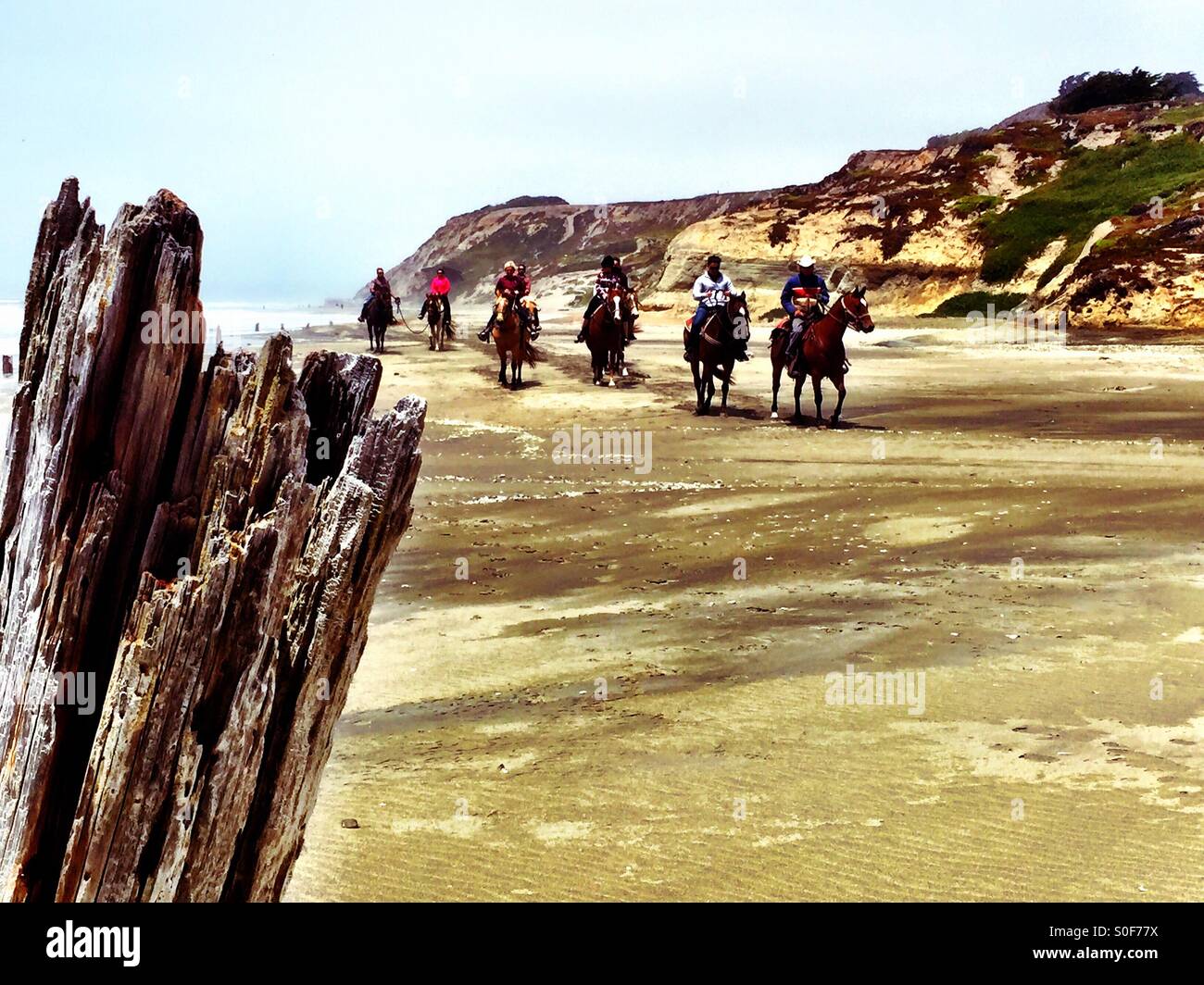 Strand-Cowboys auf dem Pferderücken in Nord-Kalifornien, USA. Stockfoto