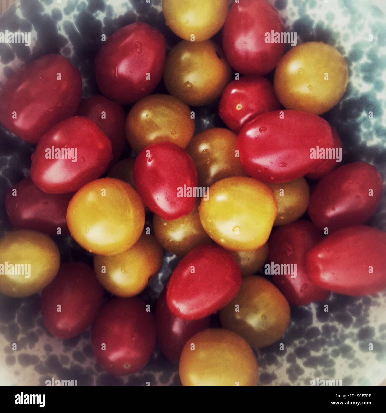 Gelbe und rote Tomaten Stockfoto