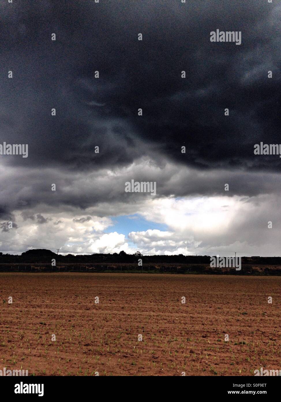 Bedrohliche Wolken nähert sich. Sudbrook, Lincolnshire, England. - Smartphone-aufgenommenes Stockfoto