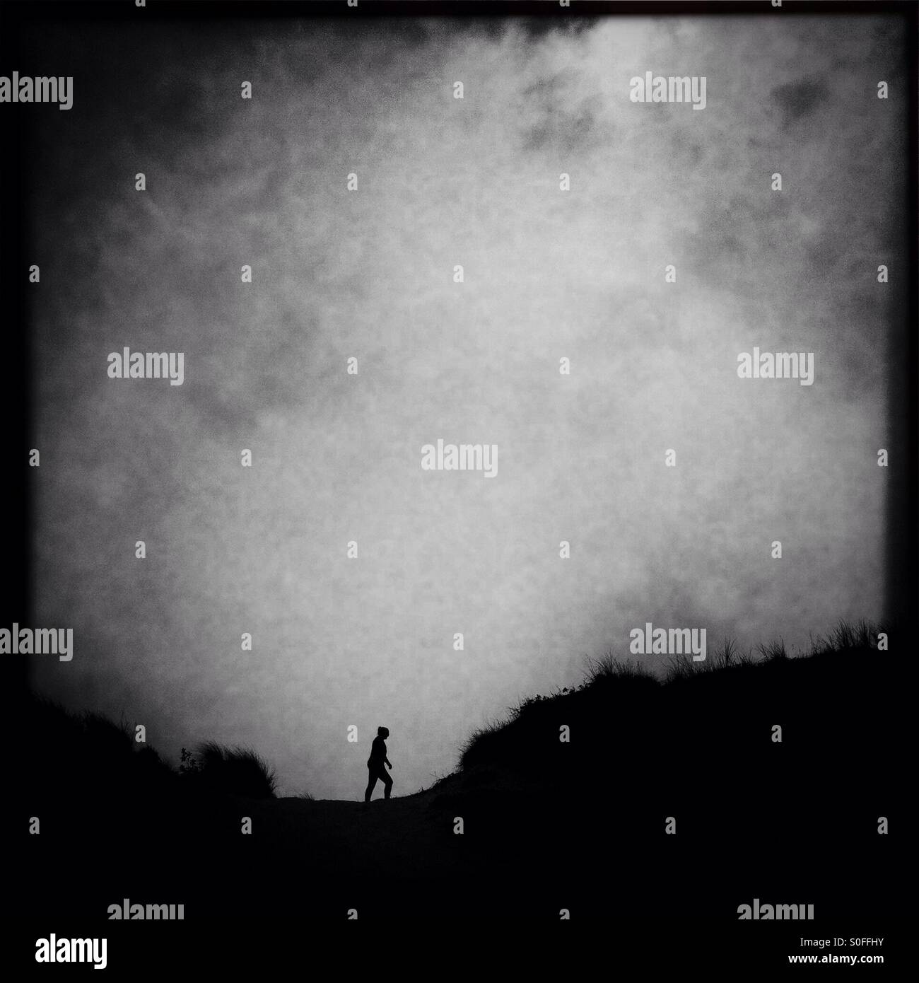 Großer Spaziergang - Smartphone-aufgenommenes Stockfoto