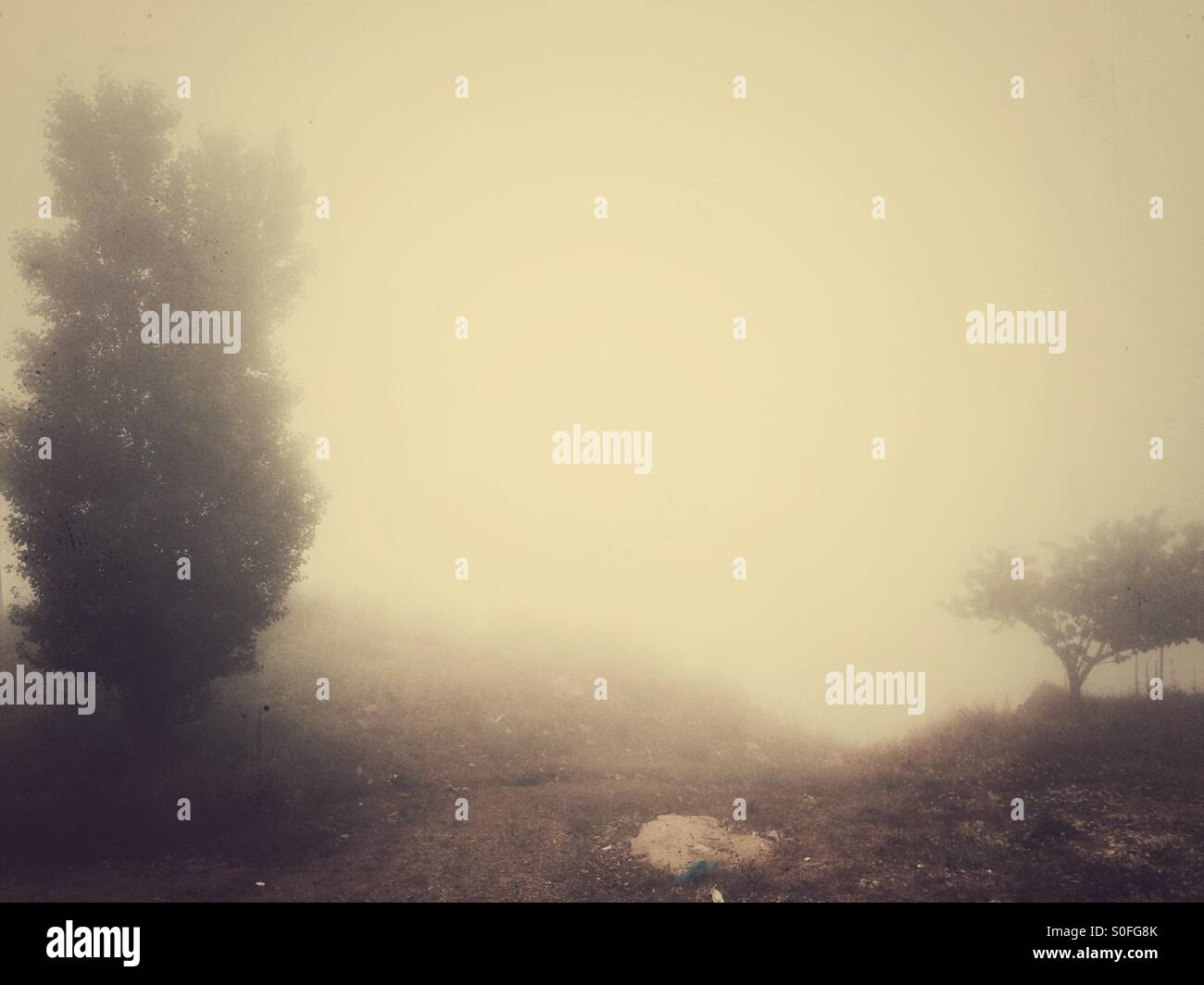 Nebel in den Bergen - Smartphone-aufgenommenes Stockfoto