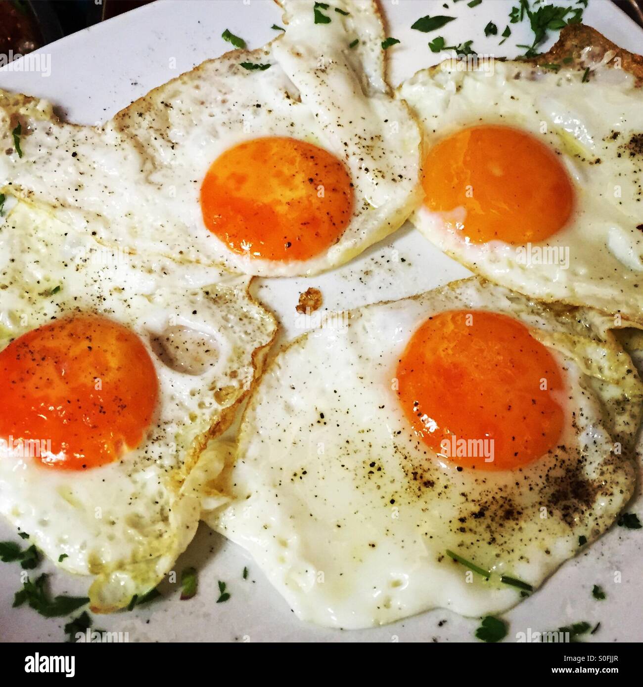 Sonnigen Seite nach oben Stockfoto