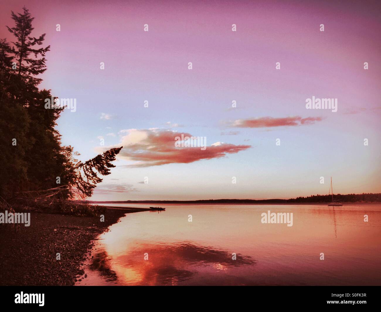 Ein immergrüner Baum gelehnt und eine verankerte Segelboot umrahmen eine Szene der Ruhe und Erholung auf dem Wasser des Washington State Süd Puget Sound. Stockfoto