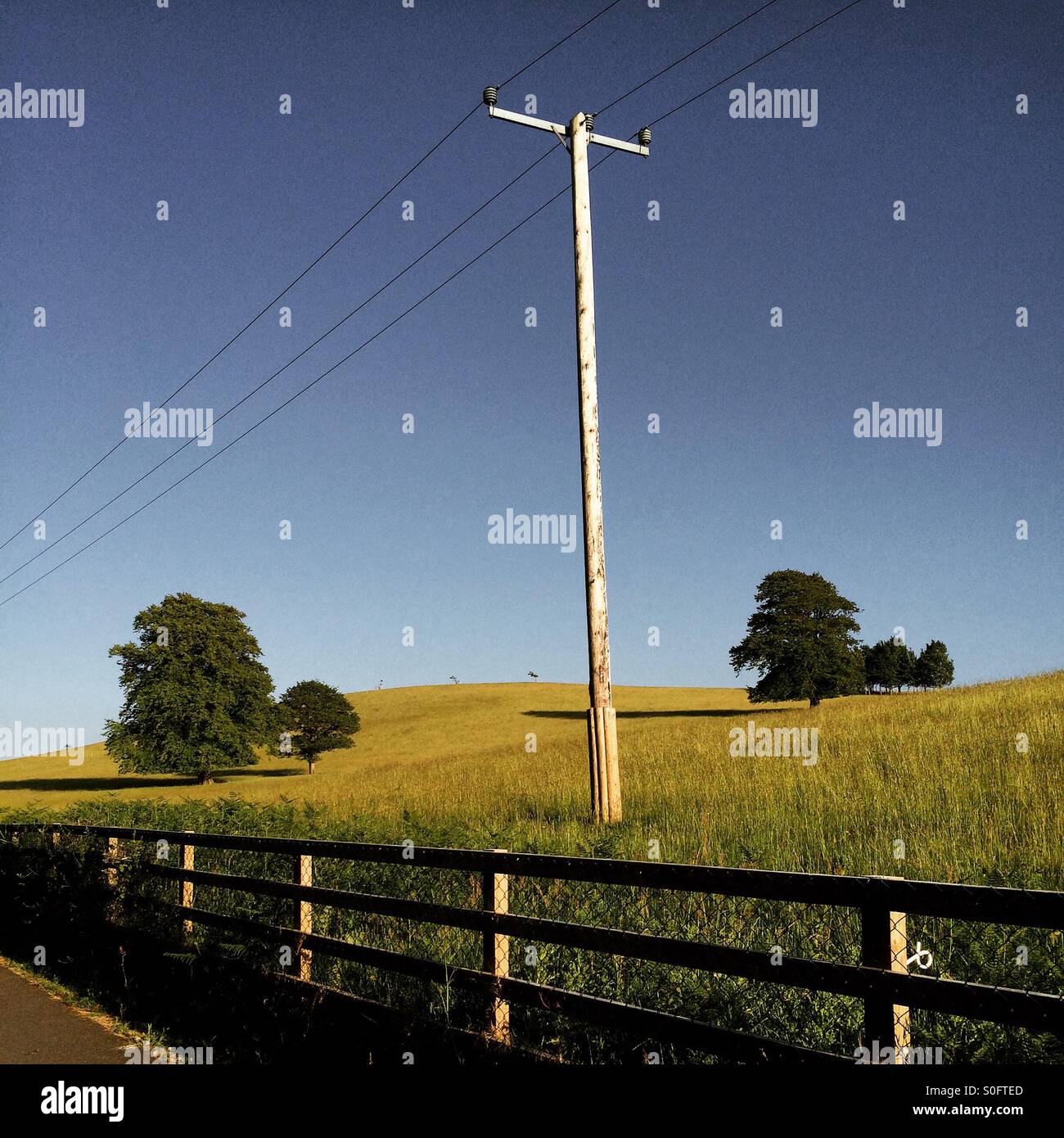 Einsamer Post im Feld bei Sonnenuntergang mit weit entfernten Bäumen. Stockfoto