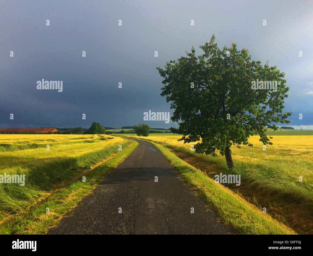 Leere Straße vor schweren Sturm - Smartphone-aufgenommenes Stockfoto