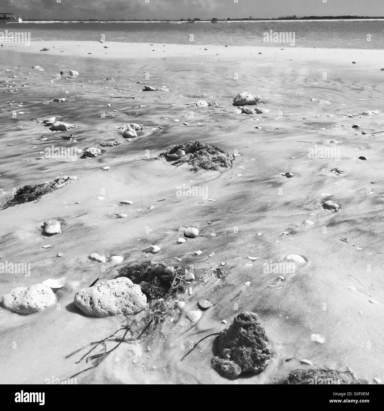 Strände von Florida Stockfoto