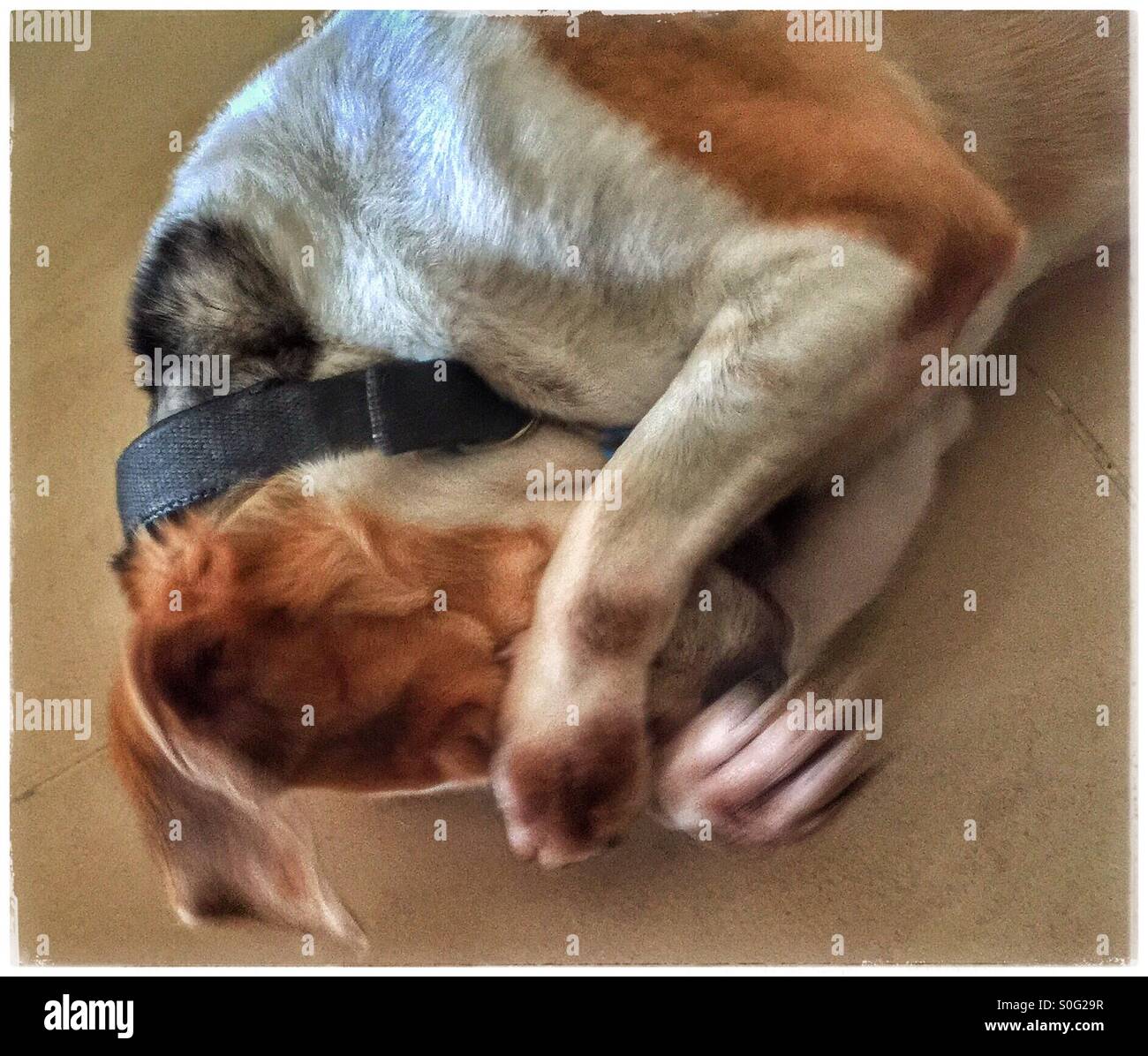 Radler. - Smartphone-aufgenommenes Stockfoto